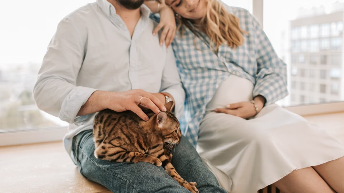 A loving pregnant couple sits by a window with their pet cat, enjoying a serene moment together.